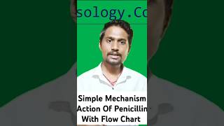 Mechanism Action Of Beta Lactam Antibiotics In pharmocolog For Bsc Nursing 4th Semester nursing [upl. by Aubry]