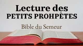 LES PETITS PROPHÈTES Bible du Semeur [upl. by Jeggar]