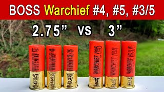 Are 3quot Bismuth Shotshells Worth It BOSS Warchief TESTED [upl. by Petracca670]