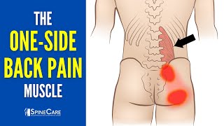 The OneSide Lower Back Pain Muscle How to Release It for INSTANT RELIEF [upl. by Anastasia948]