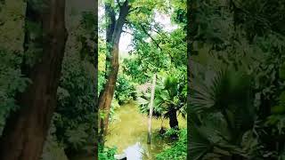 viralvideo Meghalaya song [upl. by Oiromed227]