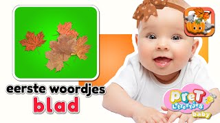 Baby Eerste Woordjes • BLAADJES • Baby tv Nederlandse Baby filmpjes • Eerste Woordjes Leren [upl. by Aira]