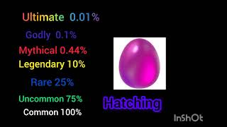 egg hatching test [upl. by Nefets710]