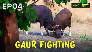 EP 04  Pench Tiger Reserve Safari  Searching for Black Leopard  4K Video Hindi  हिन्दी [upl. by Ardnuaet568]