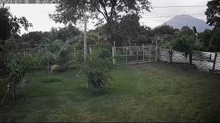 🛑 MOMENTO EXACTO del SISMO de ULTIMA HORA en EL SALVADOR 🇸🇻 [upl. by Greenebaum124]