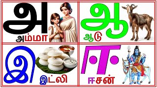 tamil alphabetTamil ueir ezuthukkala amma aa aadu AMMA AADU IDALI EESAN PRINIT1419 [upl. by Fairweather966]