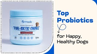 Probiotics for a Happier Healthier Pup  Top Probiotic Supplements for Dogs HealthyPup DogCare [upl. by Isle]