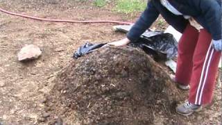 How to Compost Manure in Thirty Days [upl. by Salamone565]