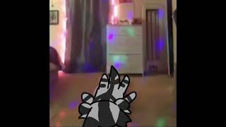 Bumblestripe has Fumbled warriors crookedumbreon [upl. by Yeslaehc]