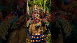 Srimati Radharani ki Jai  Sri Radha Gokulanand radharani radha radhe radhashtami [upl. by Aserahs856]