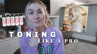 TONING 101 HOW TO CORRECTLY TONE HAIR  Reiley Collier [upl. by Ailehs49]