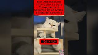 Non Abbandonare il Tuo Gatto Le Conseguenze di Separarsi a Metà della Vita Gatti NonAbbandonare [upl. by Ashleigh]