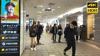 🇯🇵土曜日の札幌駅 散歩 2024／日本 北海道 札幌市 中央区 4K HDR Binaural ASMR [upl. by Hsejar]