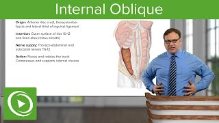 The Oblique Muscle Trigger Points [upl. by Sej49]