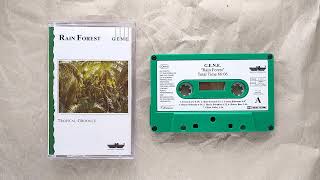 GENE  Rain Forest 1993 • cs rip • ambient  new age  fourth world [upl. by Lesly]