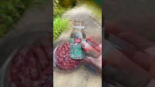 Learn this trick to catch more catfish Catfish love fishy smell Catfish attractant Catfish [upl. by Ahsiekin]