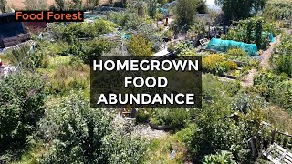 Soft Fruit Abundance in Four Yearold Food Forest July 2020 [upl. by Kinsley]