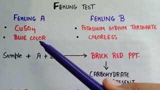 Fehlings test for carbohydrates  fehling solution A and B  test for carbohydrates  fehlings test [upl. by Debera124]