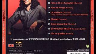 Tomatito cancion turca [upl. by Milon]