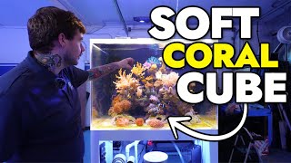 Introducing the NEW Soft Coral Cube at the Reef Builders Studio [upl. by Ruamaj]