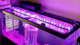 Aqueon Versa Top Hinged Glass Aquarium Top [upl. by Christianna]