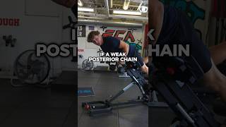 Posterior Chain Development [upl. by Juditha]