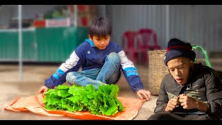 Two Orphan Brothers Harvest tomatoes and vegetables goes to market socks for my disabled brother [upl. by Seagraves]