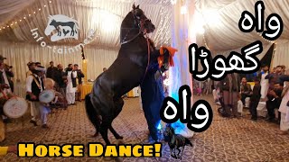 Amazing Horse Dance with Dhool in Pakistan  Mehndi Function in Islamabad [upl. by Leidag994]