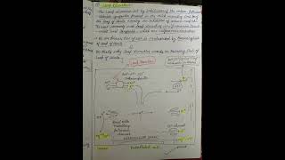 Medicinal chemistry DIURETIC notes pharmacy medicinalchemistry notes diuretics [upl. by Kohn]