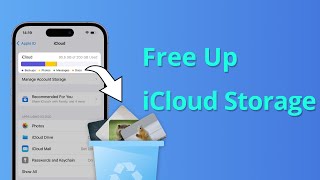 5 Ways How to Free Up iCloud Storage 2024 [upl. by Eirameinna]