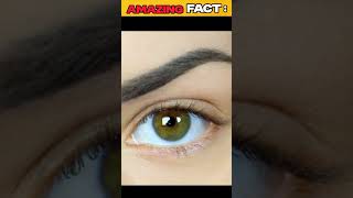 3 Intresting facts  3 Amazing facts facts factshorts explore hindifacts unbelievablefacts [upl. by Ck]