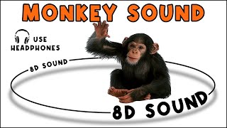 MONKEY SOUND  MONKEY SOUND EFFECT  NOISE OF MONKEY  animal sound [upl. by Akerdnuhs154]