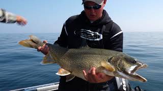 Heart Pumping Big Trout of Stannard Rock [upl. by Scoville]