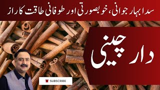 Dar Cheeni Cinnamon Ke Fawaid دار چینی کے فوائد [upl. by Grimbal]