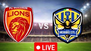 Bulleen Lions vs Werribee City Live Football match Today  npl 2024 [upl. by Schaffel]