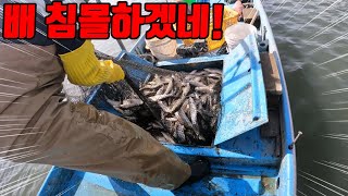 민물고기가 450kg 고기가 많아서 그물이 터지는 건 처음 보네요 [upl. by Esdnyl]