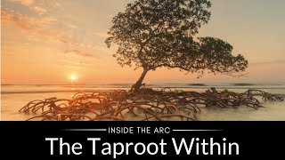 The Taproot Within  Inside the ARC [upl. by Hcone]