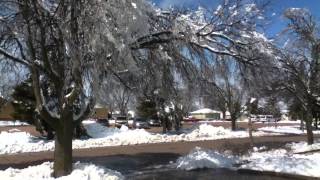 Sounds of Thawing after Ice Storm [upl. by Natloz]