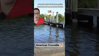 Man attacked by Crocodile in Florida [upl. by Yldarb]