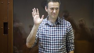 Alexeï Navalny  des expertes des Nations Unies réclament une enquête internationale [upl. by Uyr]