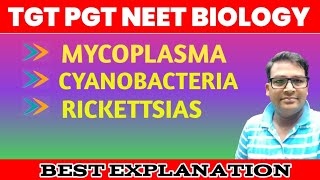 Mycoplasma  Cyanobacteria  Rickettsia  Lower botany one shot [upl. by Ellenrahs933]