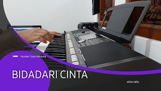 BIDADARI CINTA Karaoke tanpa kendang  aZkia naDa [upl. by Neenahs94]