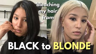 Bleaching My Hair at Home  BLACK TO BLONDE [upl. by Burke]