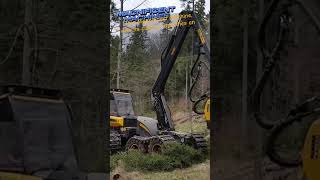 Ponsse Ergo 8W C44 H7 The Giant Wood Harvester of the Forest shorts [upl. by Turk]