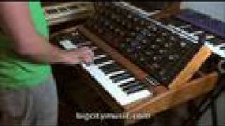 MiniMoog Voyager Old School [upl. by Zadoc]