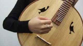 Basic Techniques of Ruan Chinese Lute [upl. by Yelime]