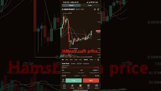 Hmstr per token price Usdt last updatehuge income  hamster coin price halonetwork [upl. by Naleag]