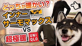 【ワークマン】サーモマックス インナーとユニクロの超極暖 暖かさ比較【柴犬】 [upl. by Adnilemreh]