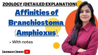 Affinities of BranchiostomaAmphioxus Notes Bsc 2nd year Zoology [upl. by Llieno]