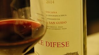 Le difese Tenuta San Guido 2014 [upl. by Khanna]